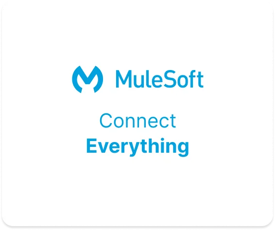 mulesoft-what-we-do