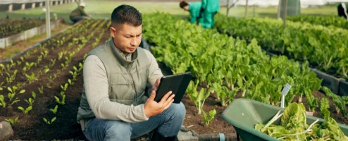 Farm Management